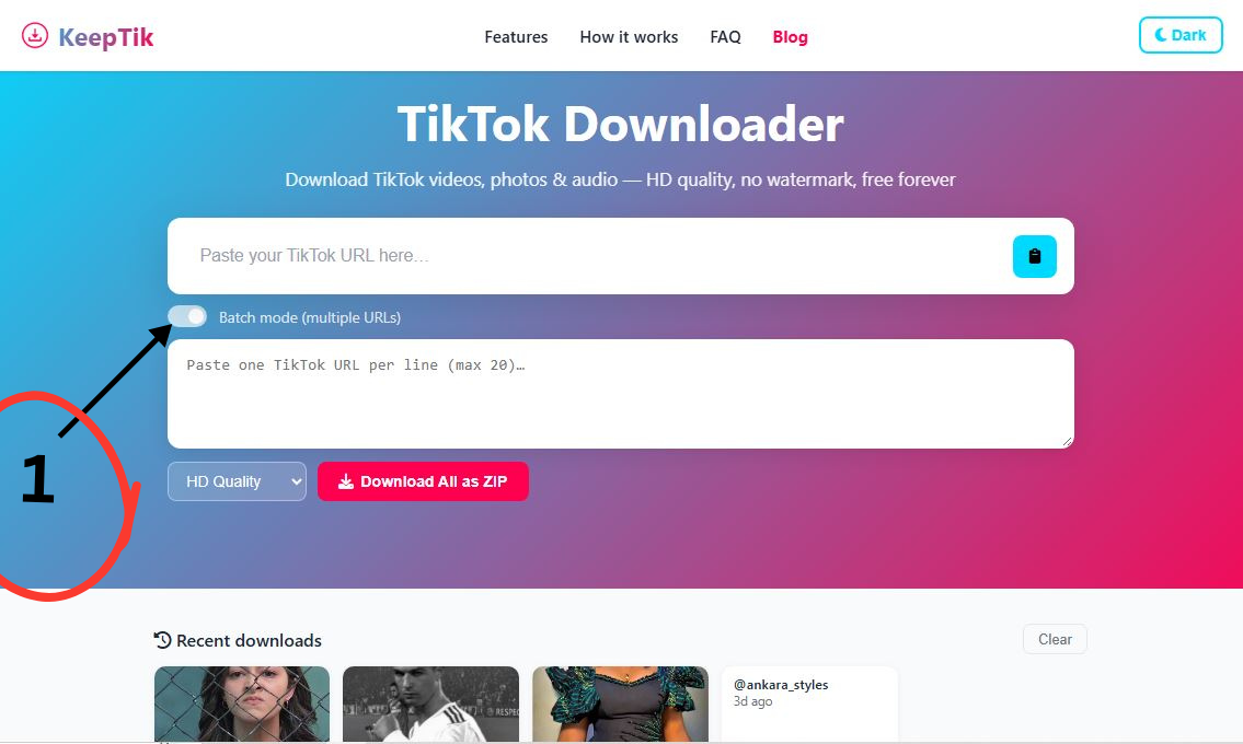How to Download Multiple Tiktok Videos (at once) with KeepTik